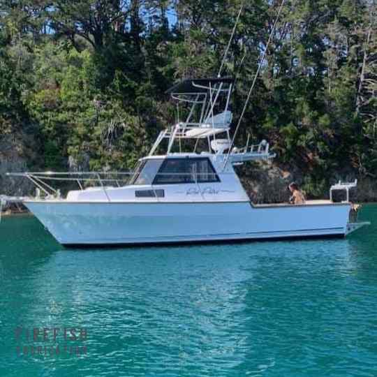 Custom stainless steel tuna tower by marine Stainless Steel Fabricators, Firefish Fabrication, Auckland.